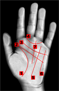 Palmistry by Shri Santosh www.Srisaijyotish.com, palm reading, face reading, free horoscope, yantra, mantra, life, astrologer, astrology